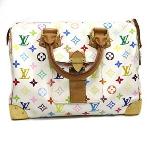 Louis Vuitton Speedy Multicolor Bag